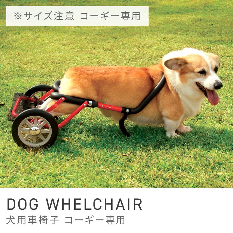 美品 犬の車椅子 静岡引取限定 中型犬用 顎乗せ6〜8キロ用 足長系用 