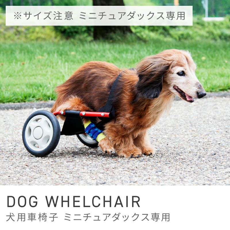 犬用車椅子 車いす ミニチュアダックスフンド専用 ペット 介護