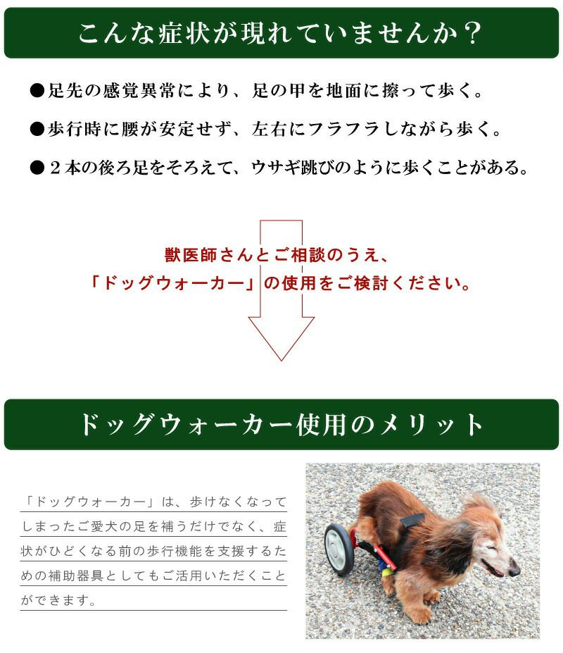 犬用品　ミニチュアダックス用車椅子　ぱんこちゃんさん専用 楽天市場】＼ 10%OFFクーポンすぐ使える！ ／ 犬用車椅子 車いす